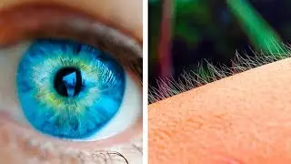 11 Explications simples &agrave; des r&eacute;actions bizarres du corps humain