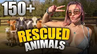 This Petting Zoo Is Actually an Animal Rescue