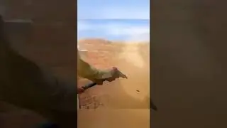 Fastest Gun in The World 🔥🔥
