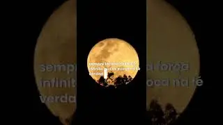 Santo-Graal (Ode a Divina Sabedoria) #poema #poesia #lofi #lofibeats #f&eacute;