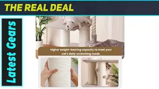 XXL Cat Paradise! Couner 68