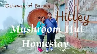 Hilley Homestay | Mushroom Hut Homestay | Hilley ~ Varsey | Homestay in Sikkim | Offbeat West Sikkim