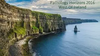 Overview of the Pathology Horizons 2016 Conference