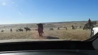 AS DE LA FIESTA en Fuentespreadas, Nuestra Señora del Rosario 5-10-2025 (por Carlos de El Maderal...