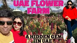 UAE Flower Farm | Wadi Asimah| A hidden gem in UAE| Complete tour