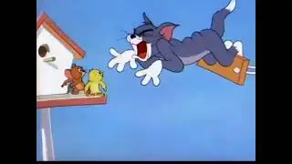 tom and jerry the screaming compilation 6