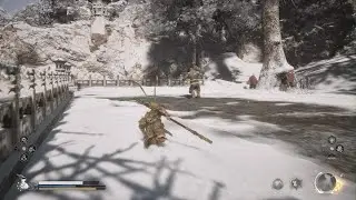Black Myth: Wukong needs a update this keep's happening
