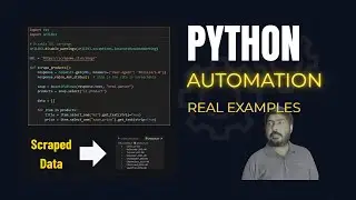 Stop Doing Manual Work! Python Automates Everything for You (Real Scripts)
