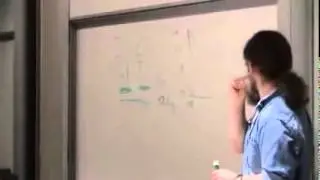 Robert Sapolsky - Prenatal environmental effects 1/5 - Hormones