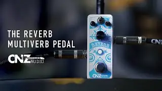The Reverb Multiverb Pedal | CNZ Audio
