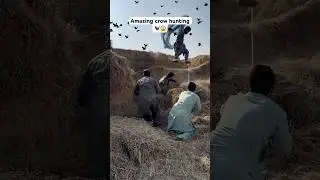 Amazing crow hunting 🐦&zwj;⬛😱 #birds #birdhunting #hunting #trendingshorts #shorts #youtubeshorts