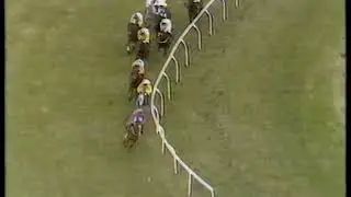 1986 Aintree Hurdle  Aonoch
