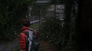 Jogando O último de nós parte 2 Conselheiro Pena