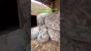 Verdiq Recycling Limited Plan for the next 5 years is to bale 50,000 PET Plastics.