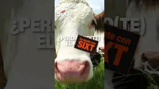 SIXT | Consigue kilometraje ilimitado para tu pr&oacute;ximo alquiler.