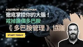 為什麼你總是提不起勁？史丹佛神經學家 Andrew Huberman：你的大腦被「劫持」了