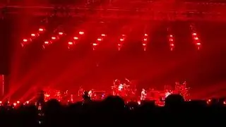 241130 오피셜히게단디즘 내한 오프닝+Pretender