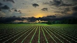 GMO elimination Apocalypse phase, not a conspiracy here is why