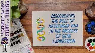 Discovery of mRNA paints a new landscape for the genetics field