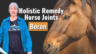 Holistic Remedy Horse Joints: The Boron Deficiency Fix