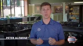 Splash Omnimedia 2018 Highlights