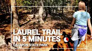 Laurel Trail: A Time-Lapse Journey Through Cacapon's Natural Beauty
