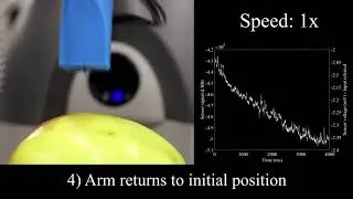 Fruit quality control by surface analysis using a bio-inspired soft tactile sensor