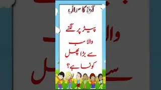 Urdu Gk Short Quiz intresting Quiz #gk #shorts #urdu #quiz