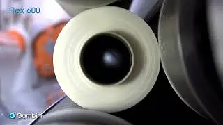 Flex 600