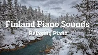 Gentle Piano Lights Glowing Through Finland&rsquo;s Snow-Quiet Forests in the Calm of Early Midnight