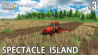 Spectacle Island  #03 🌾 FS19 TimeLapse 4K