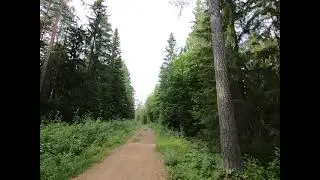 Finland Sotkamo -Hiukka Pollyvaara-by bike August 2025