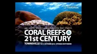 Michael Berumen - Connectivity patterns in Red Sea coral reefs