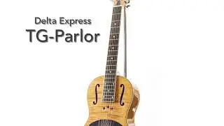 Delta Express TG-Parlor    [LAST GUITAR]