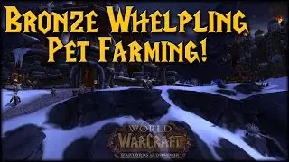 Bronze Whelpling Farming Guide!
