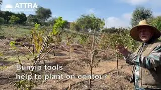 Backyard Fruit Production for Warm Climates