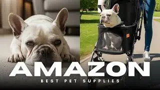 Best Budget Pet Stroller? 🏃&zwj;♂️ Travel Lite Collapsible 4-Wheel Jogger Review! 🐾