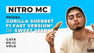 NITRO MC PRUEBA UN P0RR0 EN CATA EN VOLÁ