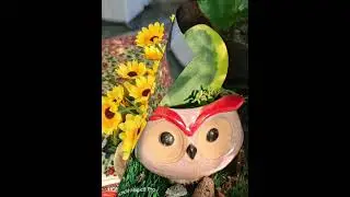BPDragonflyGarden2026 #kids #farmlife #education #dining #vegetarian #pet