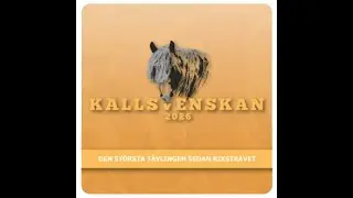 251221 Val hästar