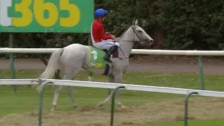 ESTRANGE 12/1 for Arc following Lancashire Oaks glory