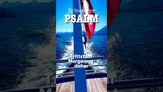 Schweizer Nationalhymne #swisshymn #bundesfeier #1august #schweizerpsalm