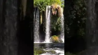 Weeping Falls River Stream | Peaceful Nature Sounds (Short)