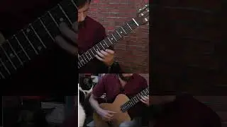 Rossiniana, Mauro Giuliani. Fragmento #guitar #guitarra_clasica  #classicalguitar  #guitarist