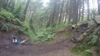Mountain bike fail ar Dalby forest
