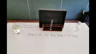 Dynamic Equilibrium Demonstration