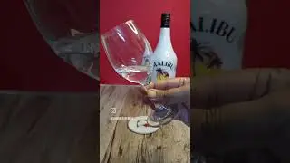 Happy Rum Day, Malibu Rum Review