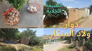 جمال الطبيعة الخلابة في دوار ولاد المنكار جماعة أغبال في إقليم بركان || جولة في أغبال شرق المغرب 🇲🇦