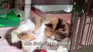 Meet Tiny Edith Ann!