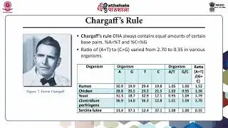 Biochemistry P-03. M-02. Nucleosides, Nucleotides and type of Nucleic Acids